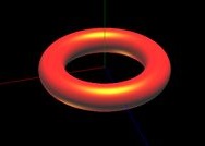 torusp